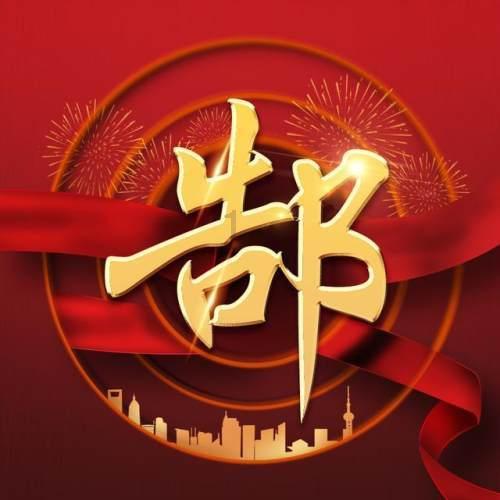 解救金刚鹦鹉